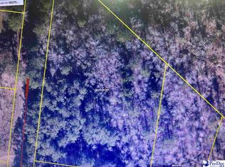 Rosebud Dr, Pamplico, SC 29583