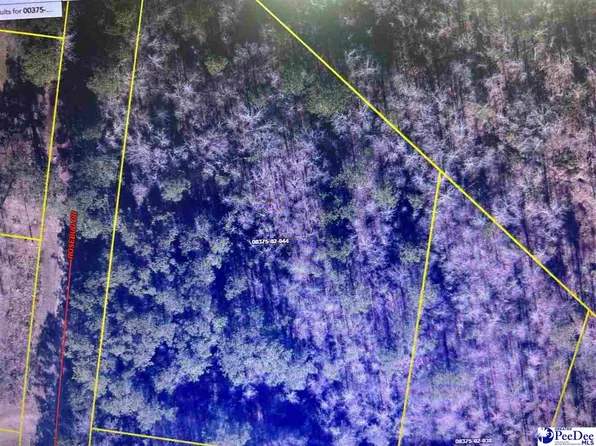 Rosebud Dr, Pamplico, SC 29583