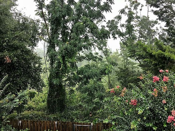 View from Master Balcony