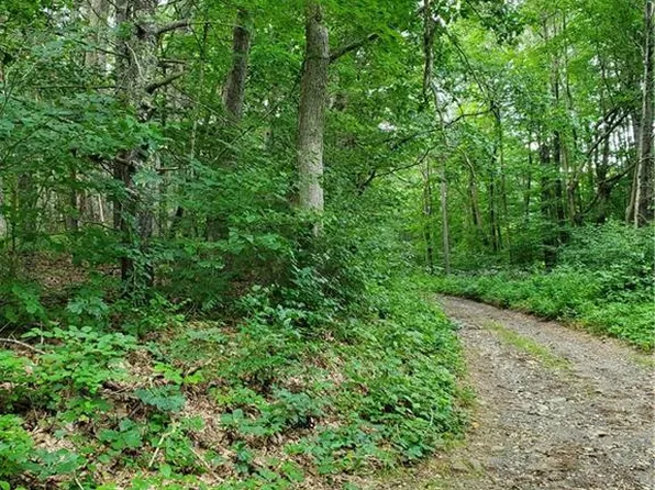 0 Town Line Ext / Armitage Road, Ashford, CT 06278