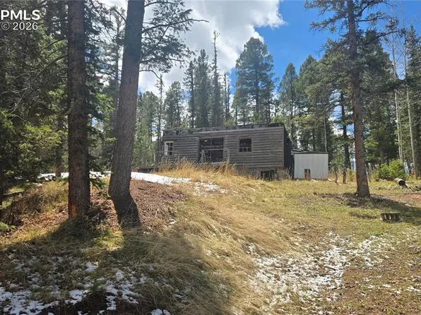 129 Mount Elbert Rd, Florissant, CO 80816