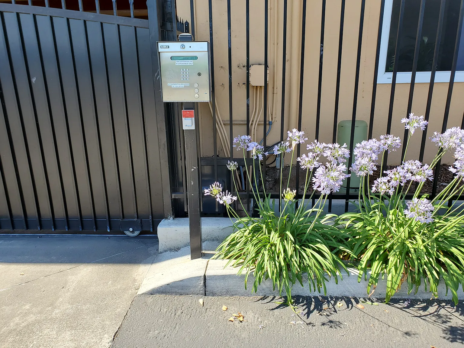 Arden Town Apartments — Photo 3