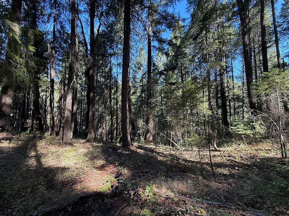 Blue Canyon Road, Emigrant Gap, CA 95715 | MLS #226091835 | Zillow