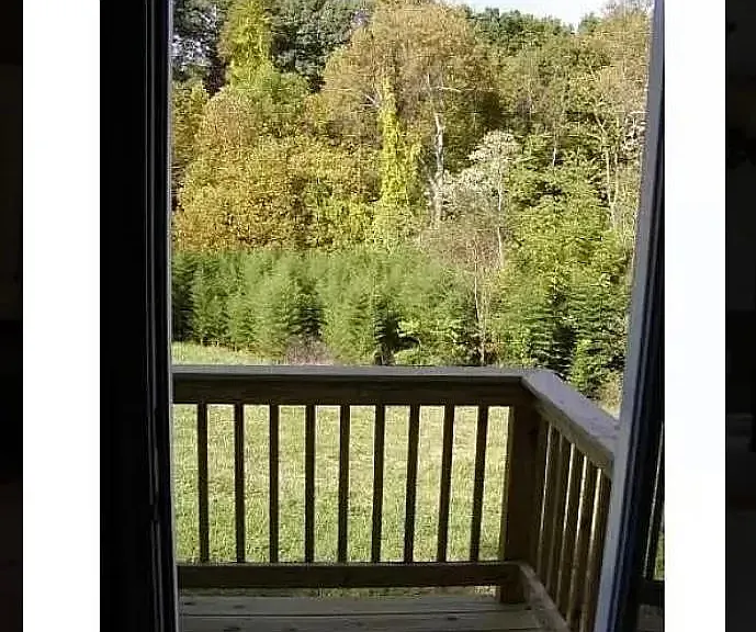 1417 Belmont Dr — Photo 4