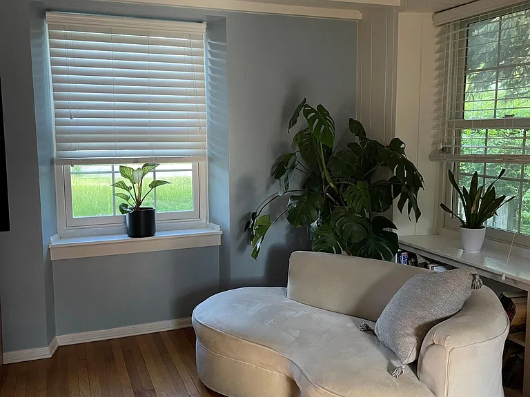 Cozy reading corner