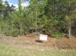 684 Georgetown Denver Rd, Crescent City, FL 32112