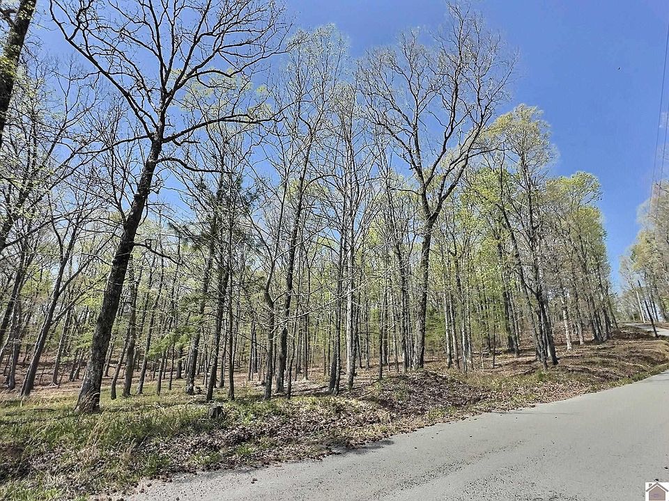 2nd image of 0 Parish Dr
