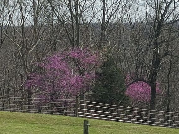 Looking towards the bluff