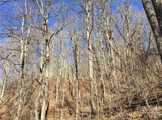 99999 Red Oak Forest Rd, Fairview, NC 28730