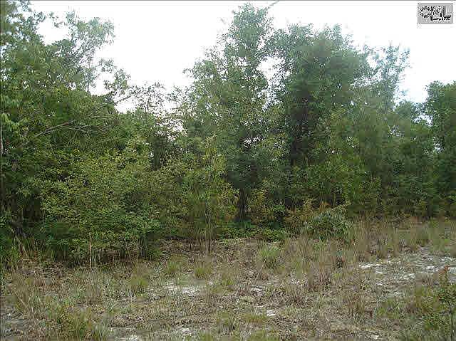 2nd image of 236 Rutherford Rd