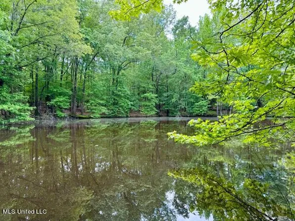 Ebenezer Coxburg Rd, Lexington, MS 39095