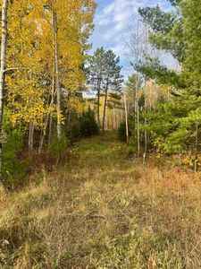 State Highway 200, Jacobson, MN, 55752