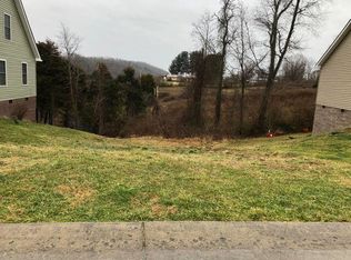 132 Wilkshire Pl, Bristol, TN 37620