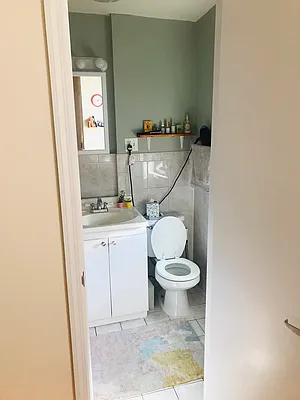 Rented by Link Real Estate NYC | media 15