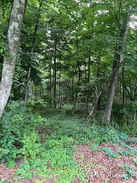 1st image of 22 1/2 Country Ridge Road