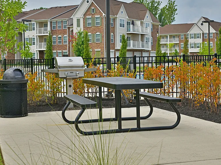 Grill and Picnic Area