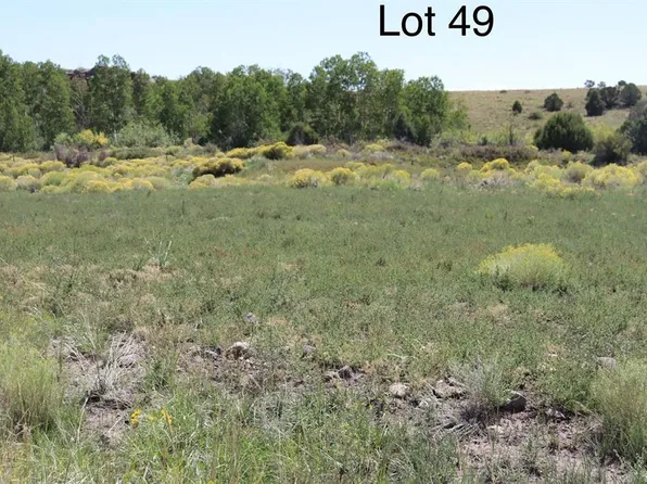 382 Raton Creek, Monte Vista, CO 81144