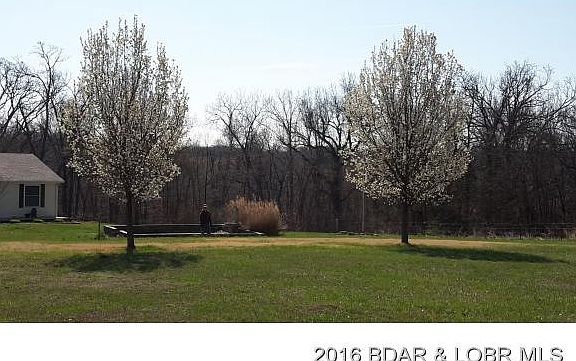 3113592_2