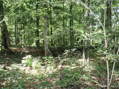 LOT 9 And 10 Mattingly, Wappapello, MO, 63966