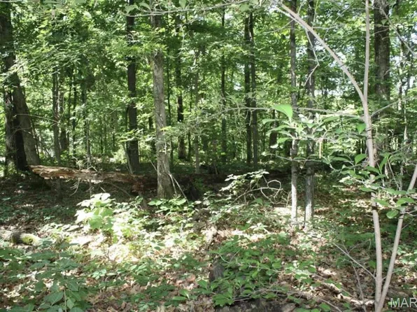 9 Mattingly, Wappapello, MO 63966