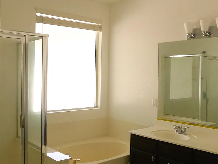 Master bathroom- walk-in shower, tub & dual sinks