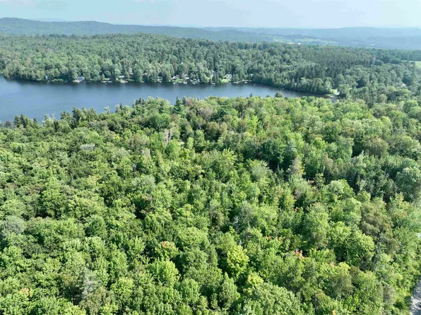 101A Martins Pond Lane Lot 1, Peacham, VT 05862
