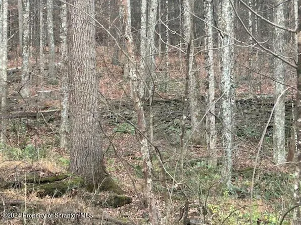 Bardwell Rd, Factoryville, PA 18419