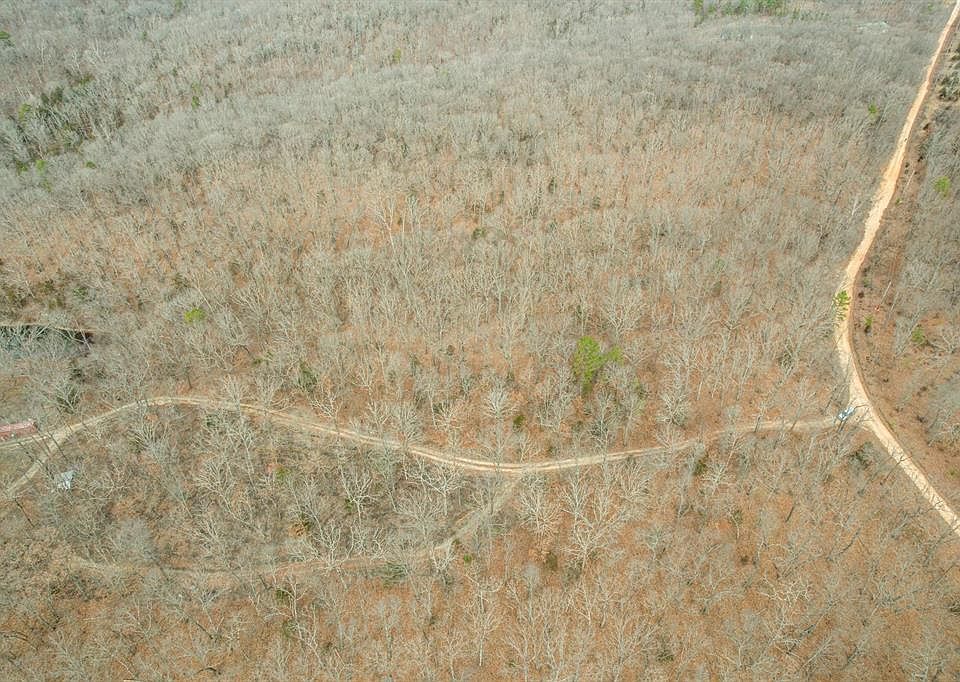 2nd image of 10395 Briarcliff Trl