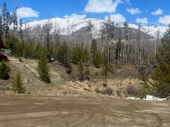 208 County Rd 4943/Primrose Ln, Grand Lake, CO 80447