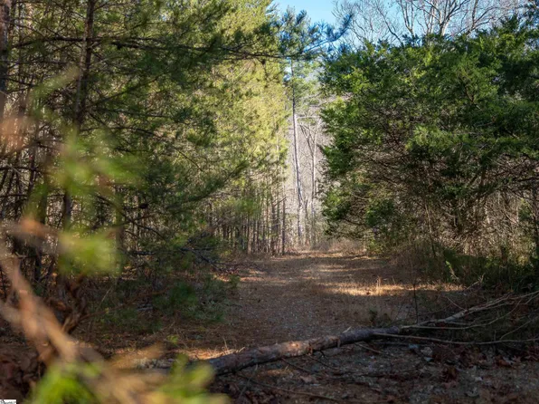 0 Pittman Rd, Landrum, SC 29356