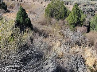 1752 Slegers Rd #1752, Fort Garland, CO 81133