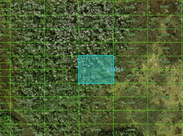 Old Grade Rd Lot D13, Polk City, FL 33868