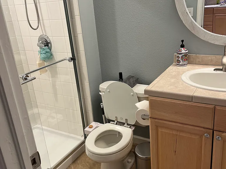 Basement Bathroom
