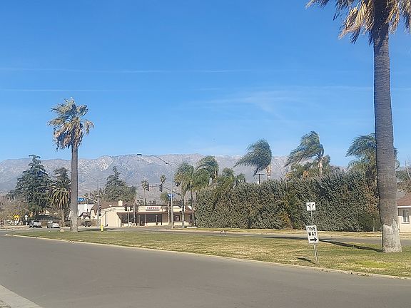 5th image of 525 Palm Ave #6