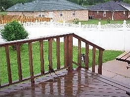 2nd image of 707 Appletree Ln
