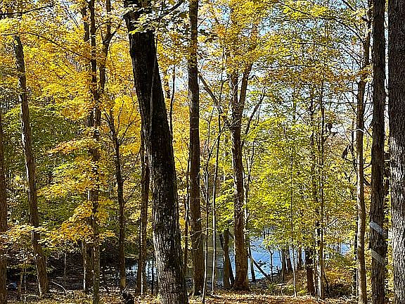 4th image of 421 Canaan Land Rd