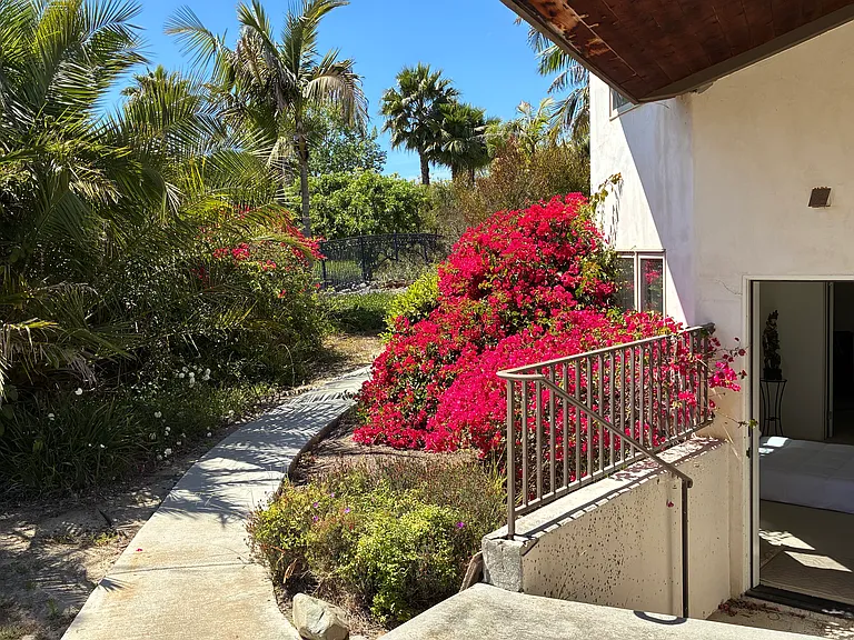 Entry through the garden!