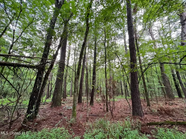 Hill St, Holly Springs, MS 38635