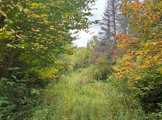 Xxx Stony River Forest Rd, Isabella, MN 55607