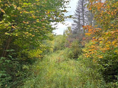 Xxx Stony River Forest Rd, Isabella, MN, 55607