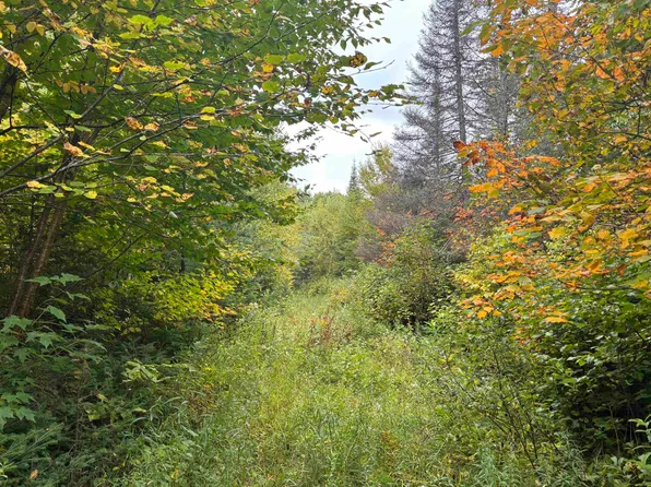 Xxx Stony River Forest Rd, Isabella, MN 55607