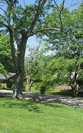 5th image of LOT 10 Swann Way Lot 10