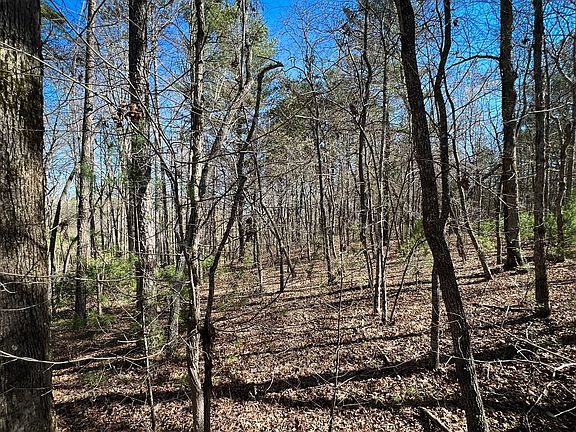 3rd image of Arden Acres Lot 37