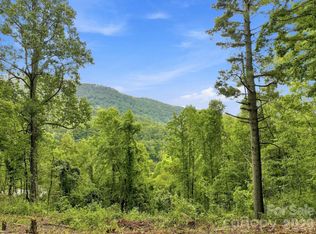 193 Fern Cove Ln, Gerton, NC 28735