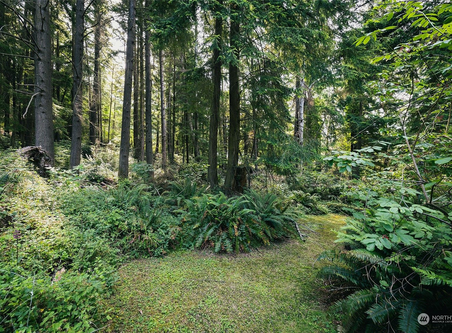 Coupeville, WA 98239