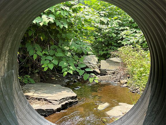 4th image of Hood Road