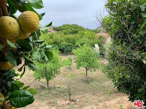 3rd image of 45220 Los Gatos Rd