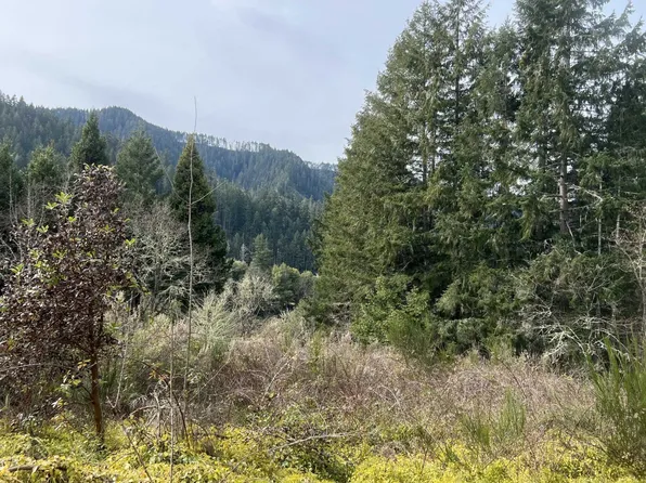 Highway 138 W, Oakland, OR 97462