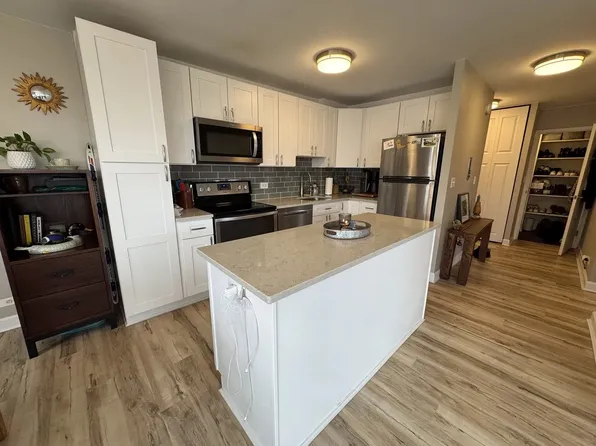 1355 N Sandburg Ter, Chicago, IL