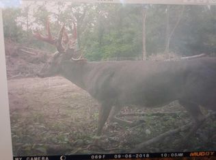 Audrain Rd #620, Wellsville, MO 63384